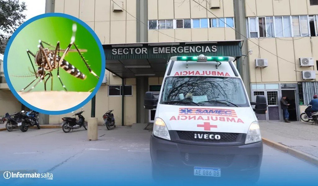 ¡Alerta en el norte! Ya son 51 los casos de Chikungunya y refuerzan operativos en la frontera